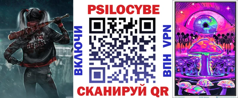 Купить  Петухово  Галлюциногенные грибы Cubensis 